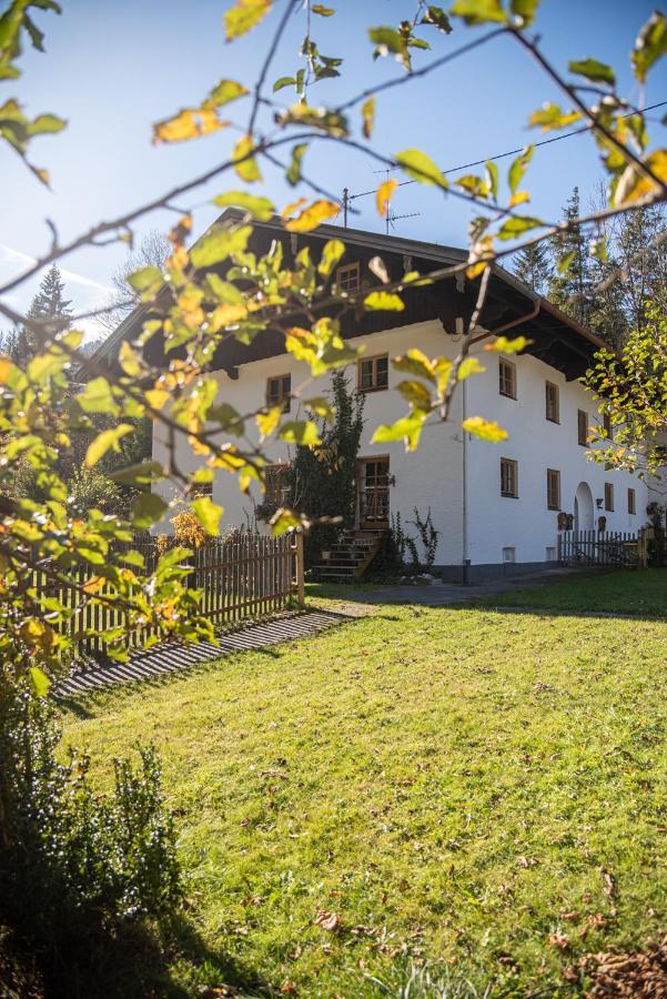 Gipfelkoenig Lejlighed Bayrischzell Eksteriør billede